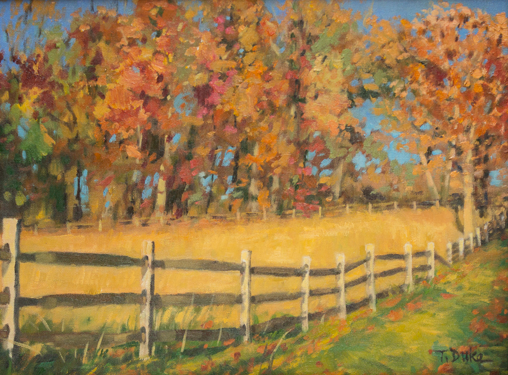 Fence Line Near Middleburg12" x 16"Oil on linen